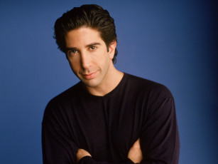Картинка david schwimmer мужчины