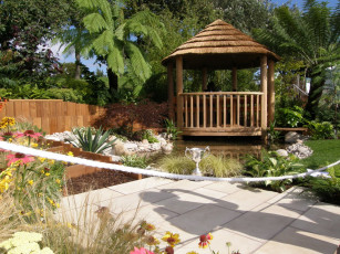 Картинка природа парк