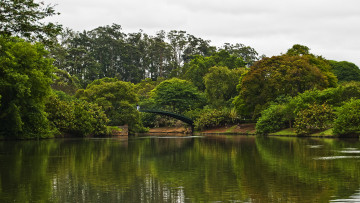 Картинка природа парк