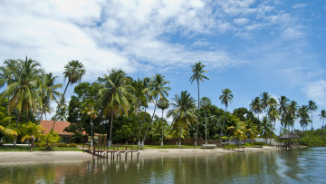 Картинка природа тропики