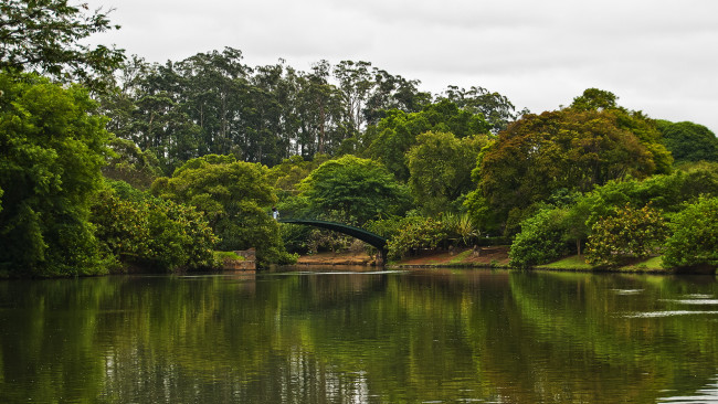 Обои картинки фото природа, парк