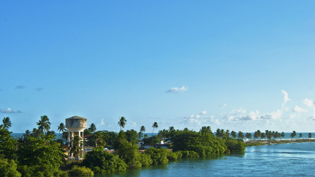 Обои картинки фото природа, тропики