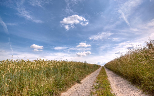 Обои картинки фото природа, дороги