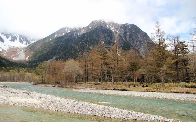 Обои картинки фото природа, реки, озера, деревья, река