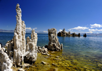 Картинка природа реки озера побережье