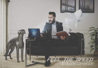 Картинка intel бренды ноутбук парень бумага собака лэптоп скорость