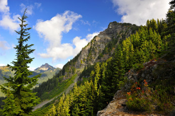 Картинка природа горы вершины