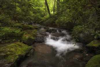 Картинка природа реки озера река лес камни