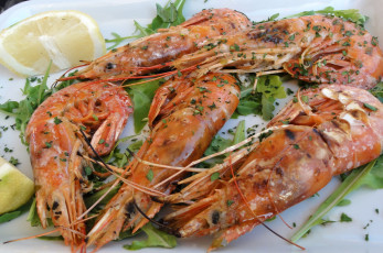 Картинка еда рыба морепродукты суши роллы креветки специи