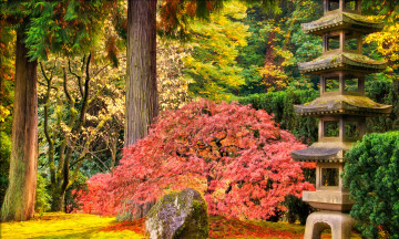 Картинка природа парк зелень деревья кусты