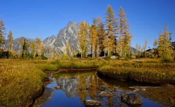 Картинка природа реки озера деревья