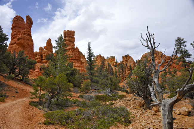 Обои картинки фото природа, горы, пейзаж