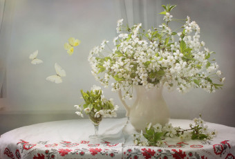 Картинка цветы сакура +вишня кувшин вишня бабочки