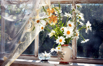 Картинка цветы букеты +композиции ромашки лилии