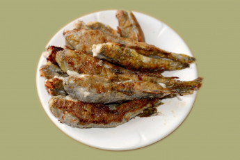 Картинка еда рыбные+блюда +с+морепродуктами рыба