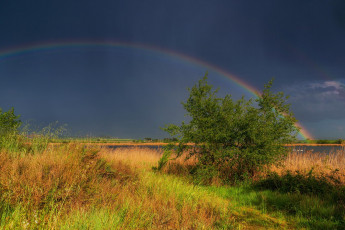 Картинка природа радуга простор