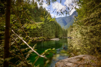 Картинка природа реки озера простор