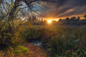 Картинка природа восходы закаты простор