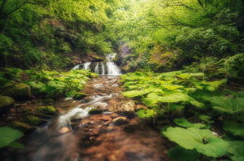 Картинка природа водопады простор