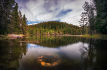 Картинка природа реки озера простор