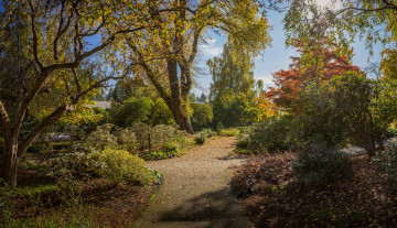 Картинка природа деревья простор