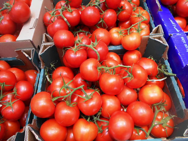 Обои картинки фото еда, помидоры, томаты