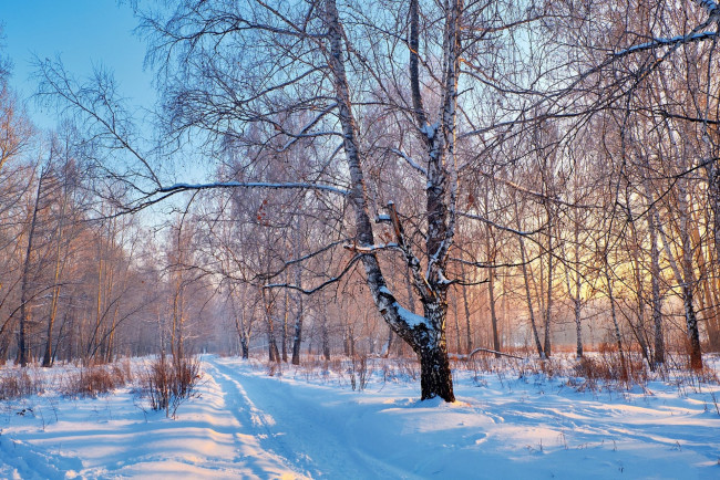 Обои картинки фото природа, зима, простор