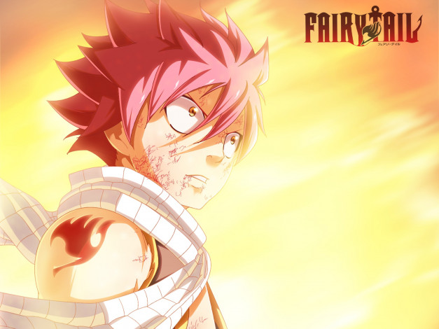 Обои картинки фото аниме, fairy tail, fairy, tail