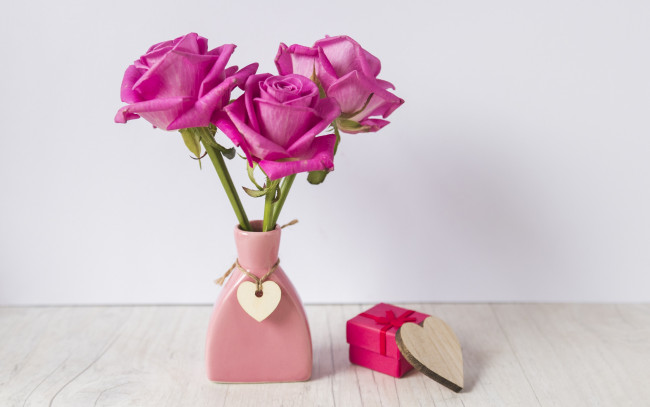 Обои картинки фото цветы, розы, розовый