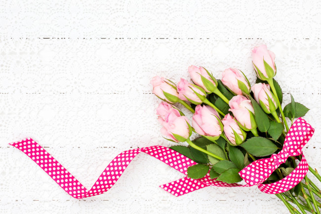 Обои картинки фото цветы, розы