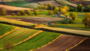 Картинка природа поля шоссе серпантин