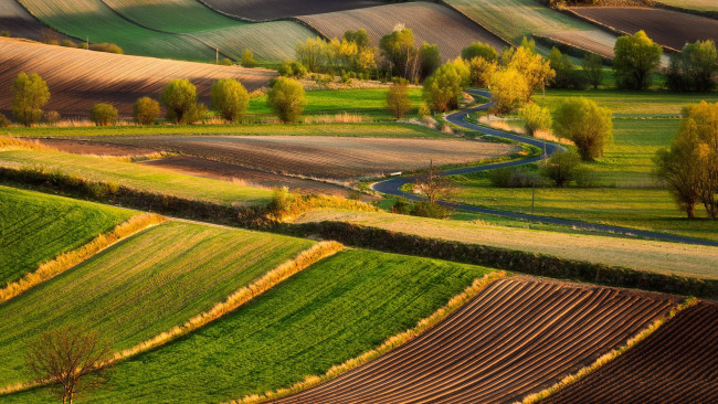 Обои картинки фото природа, поля, шоссе, серпантин