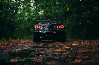 Картинка автомобили nissan datsun black skyline r34 spoiler trees leaves
