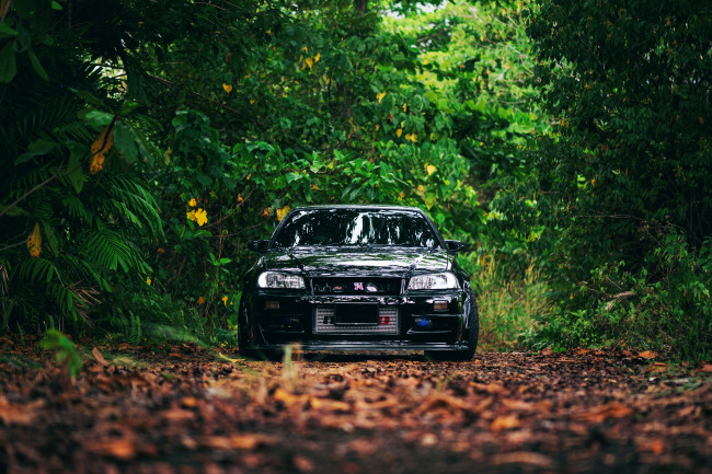 Обои картинки фото автомобили, nissan, datsun, black, skyline, r34, trees, leaves