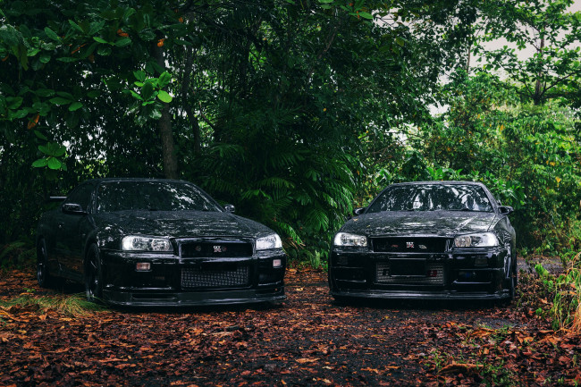 Обои картинки фото автомобили, nissan, datsun, black, skyline, r34, trees, nismo