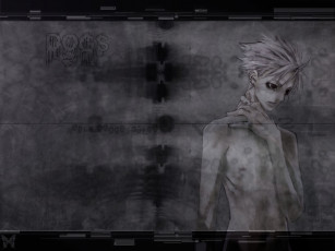 Картинка аниме dogs bullets carnage