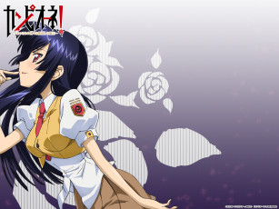 Картинка аниме campione девушка