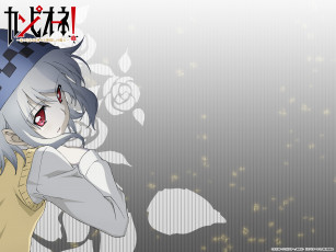 обоя campione, аниме, девушка