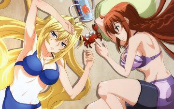 Картинка аниме sekirei