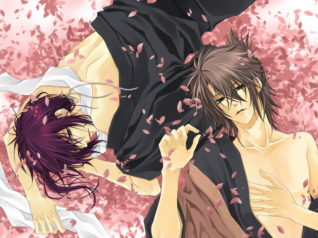 Обои картинки фото аниме, hakuoki