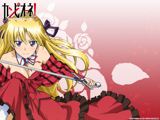 Обои картинки фото campione, аниме, девушка