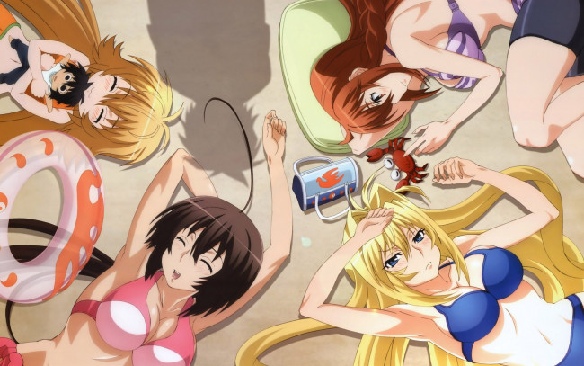 Обои картинки фото sekirei, аниме