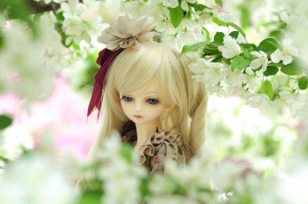 Картинка разное игрушки цветение кукла