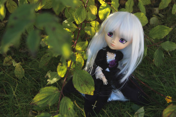 Картинка разное игрушки кукла