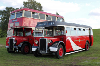 Картинка автомобили автобусы пассажирский транспорт