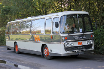 Картинка автомобили автобусы пассажирский транспорт