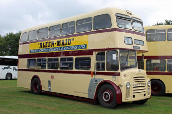 Картинка автомобили автобусы пассажирский транспорт