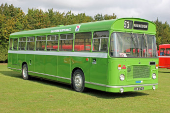 Картинка автомобили автобусы пассажирский транспорт