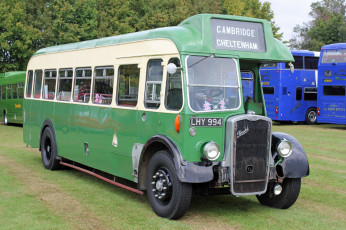 Картинка автомобили автобусы пассажирский транспорт