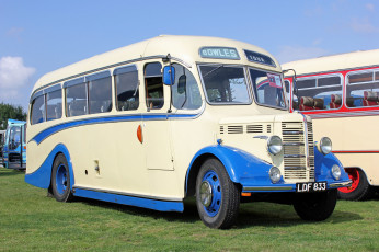 Картинка автомобили автобусы транспорт пассажирский